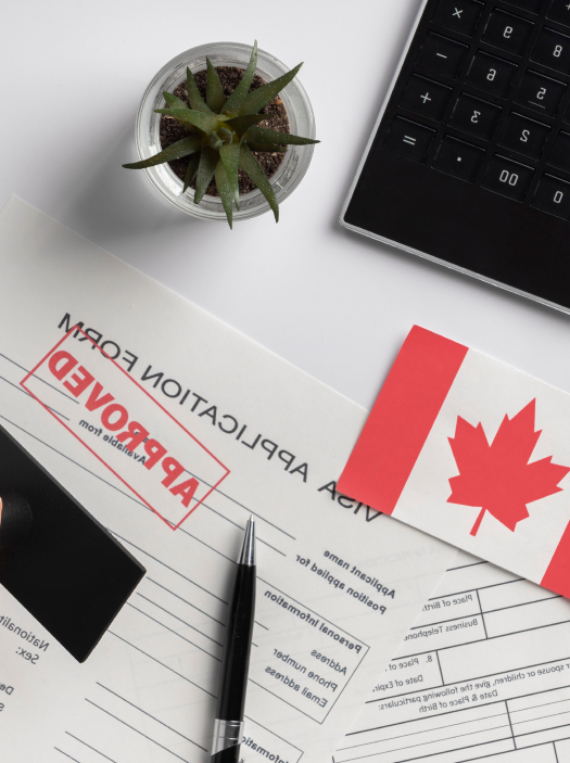 Top Immigration Consultant in Canada